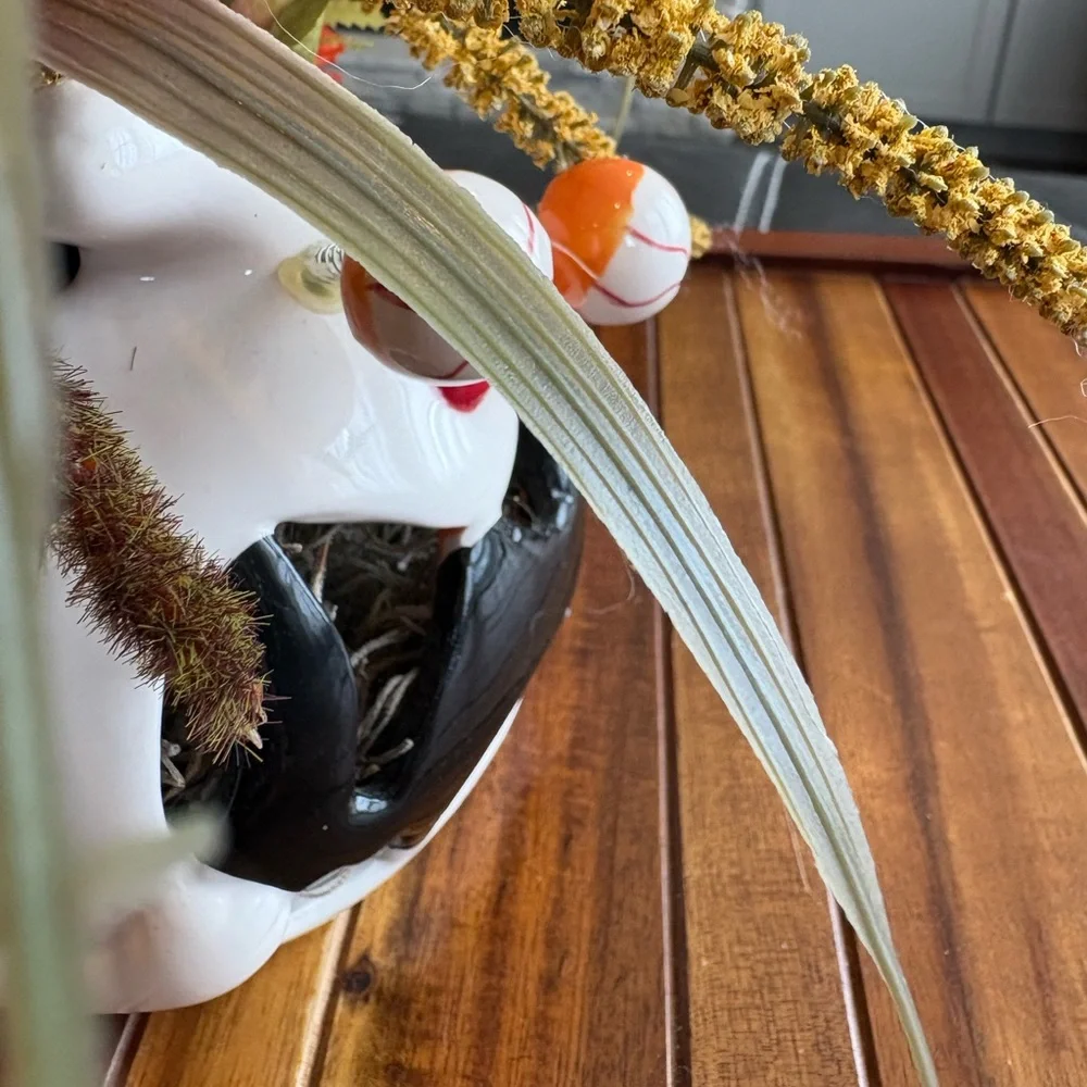 Halloween Ceramic Pumpkin Googly Eyed Planter